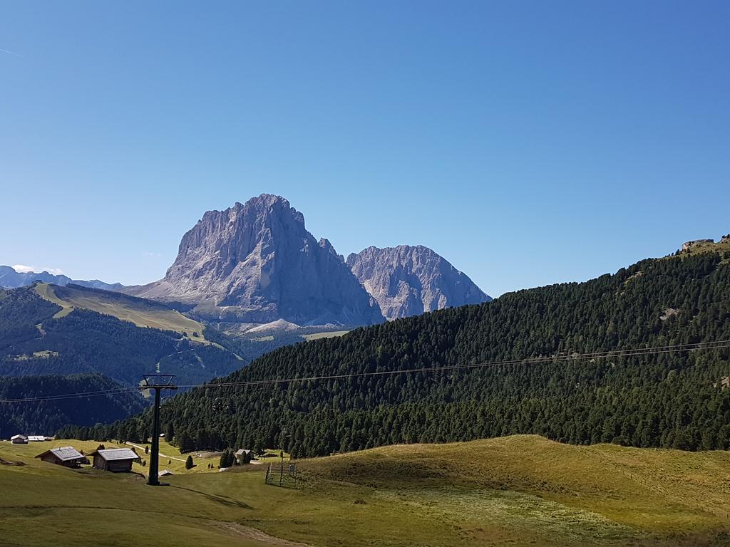 Villa Otto Santa Cristina Val Gardena エクステリア 写真